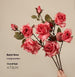 3 rouge powder colors