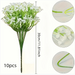 Apple Starry Sky 10pcs