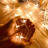 Sakura Small Colored Lights Flashing Light String Light Starry Room Bedroom Camping - My Store