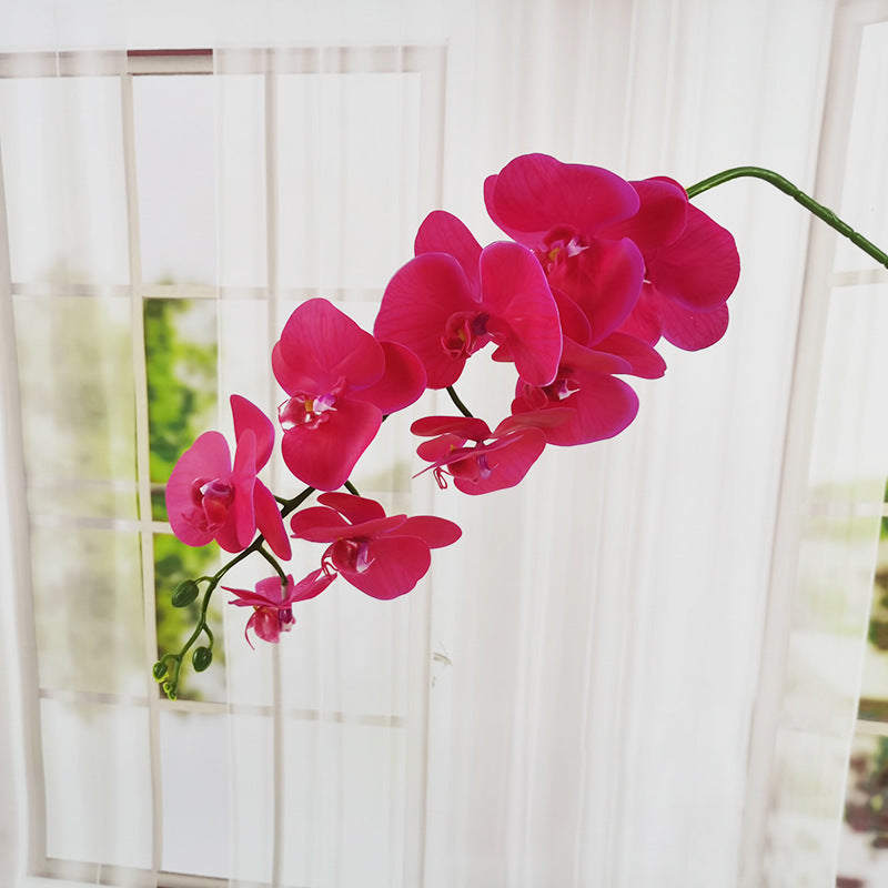 Single Film 9 Phalaenopsis Artificial Flowers - My Store