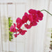 Rose Red