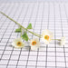 4 Flower White