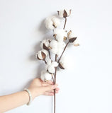 10 Natural Cotton Branch Artificial Flowers - My Store