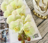 7 phalaenopsis artificial flowers - My Store