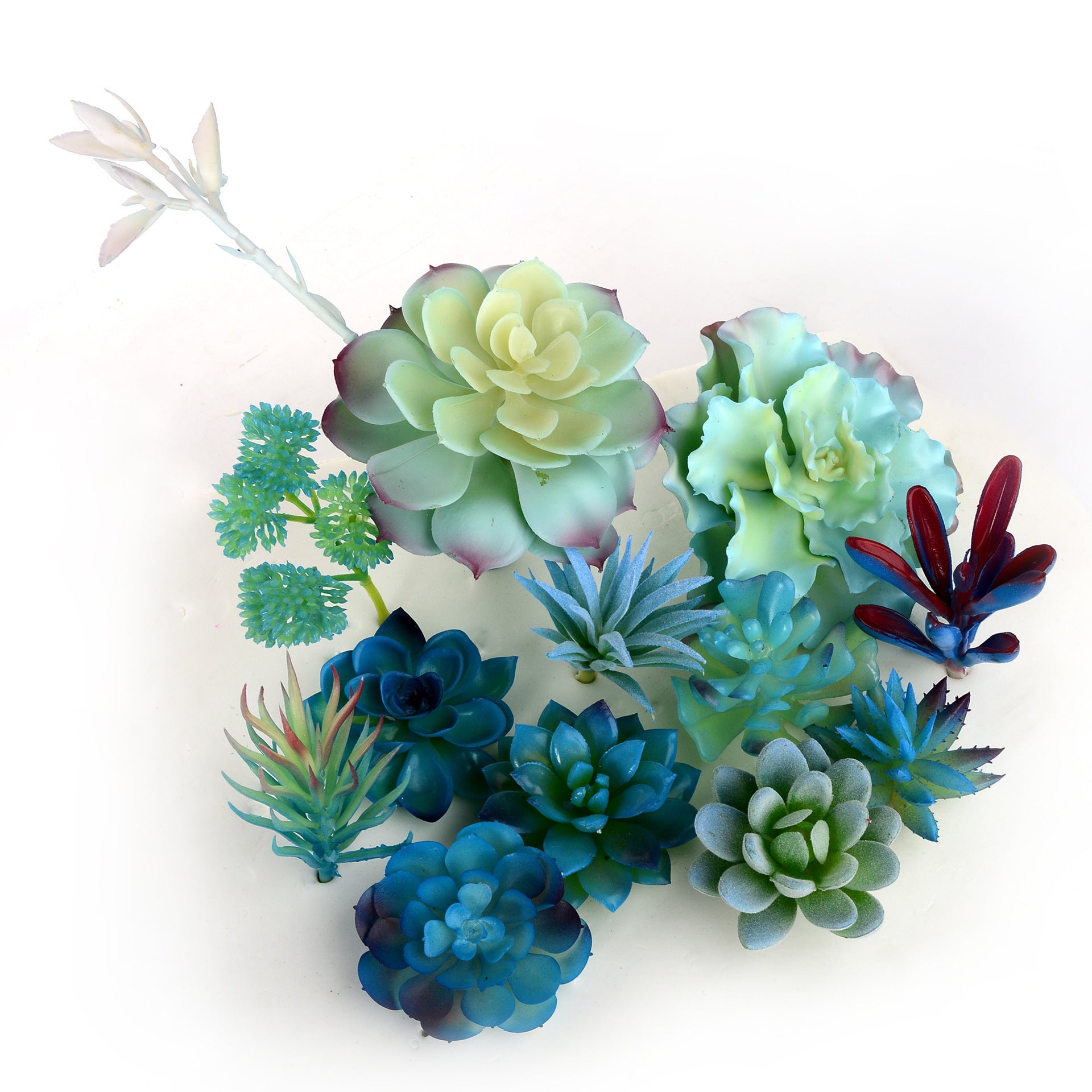 Artificial Succulents Creative Indoor Plastic Flowers - My Store