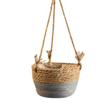 Hanging Orchid Pot Hanging Wall-mounted - My Store