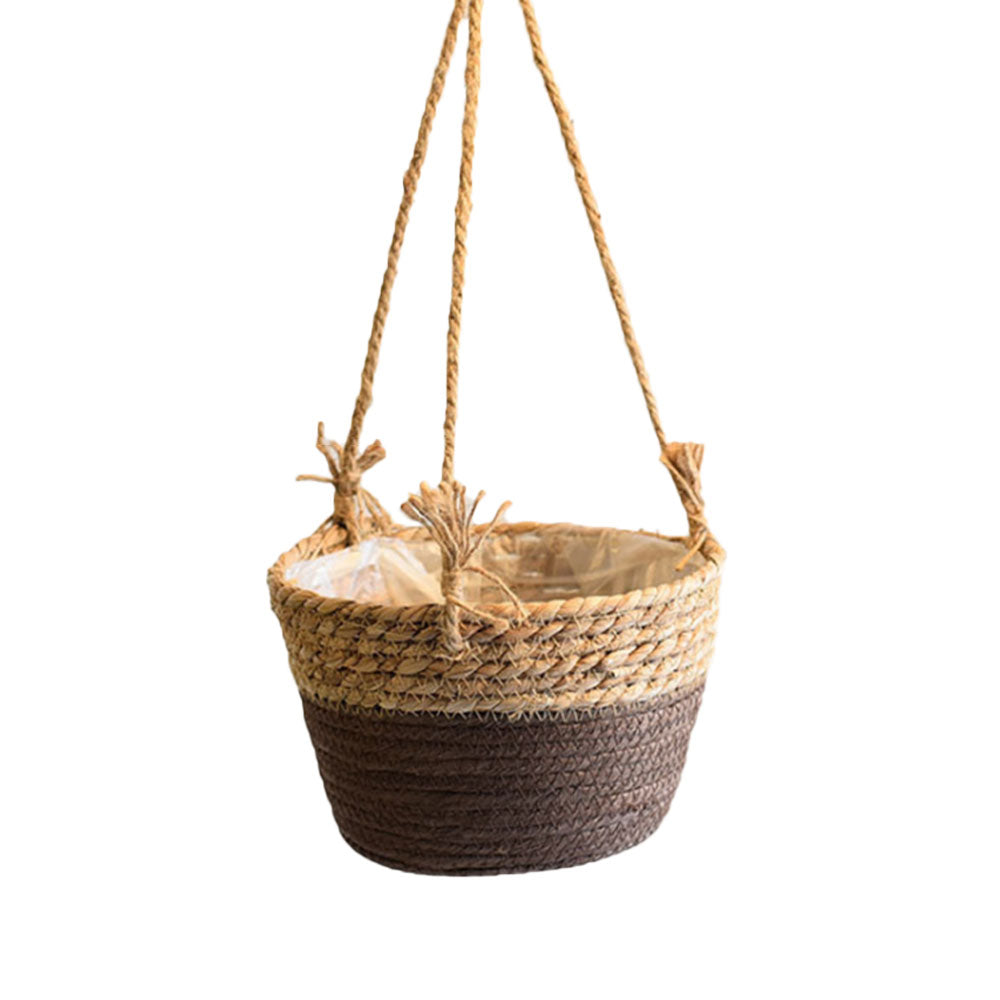 Hanging Orchid Pot Hanging Wall-mounted - My Store