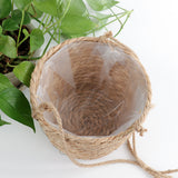 Hanging Orchid Pot Hanging Wall-mounted - My Store