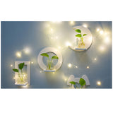Creative Wall Hanging Wall Hydroponic Vase Hanging Transparent Flower Pot - My Store