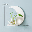 Creative Wall Hanging Wall Hydroponic Vase Hanging Transparent Flower Pot - My Store