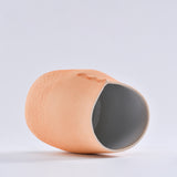 Ceramic Vases In The Model Room - My Store