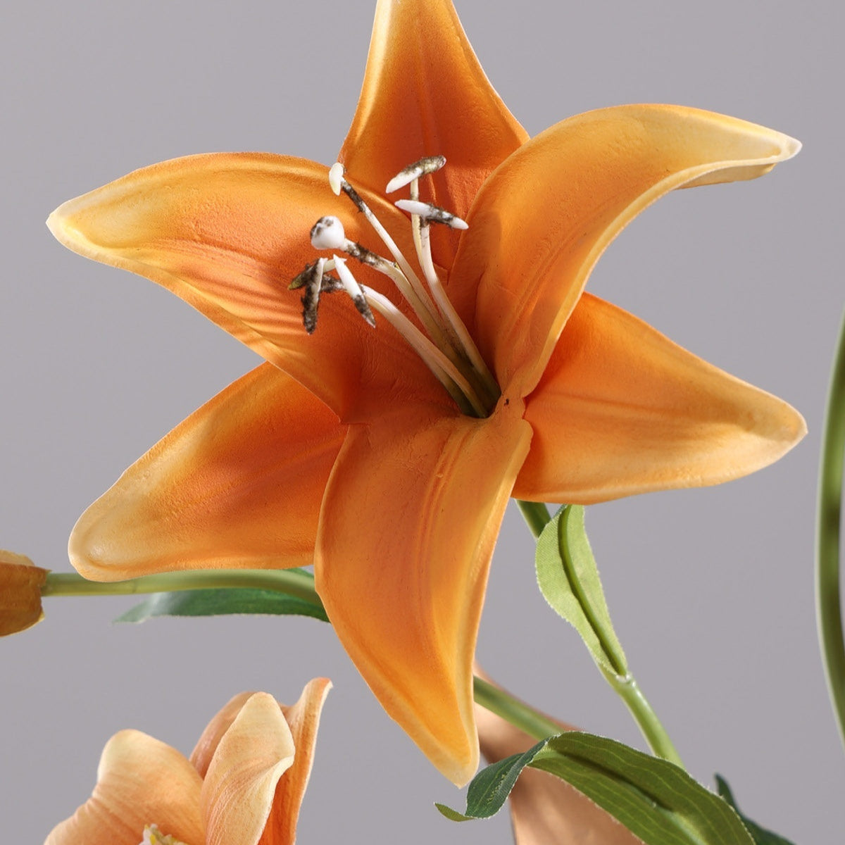 Modern, Light-luxury Glass Flower Vases For Floral Arrangements - My Store