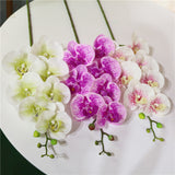7 phalaenopsis artificial flowers - My Store
