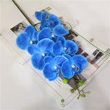 7 phalaenopsis artificial flowers - My Store