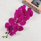Single Film 9 Phalaenopsis Artificial Flowers - My Store