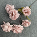 Autumn Pink