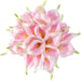 Light Pink