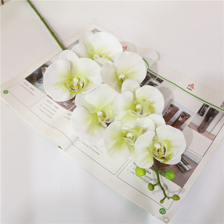 7 phalaenopsis artificial flowers - My Store