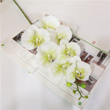 7 phalaenopsis artificial flowers - My Store