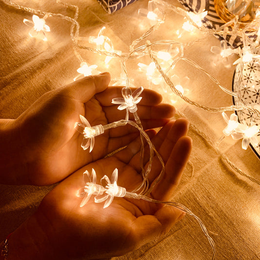 Sakura Small Colored Lights Flashing Light String Light Starry Room Bedroom Camping - My Store