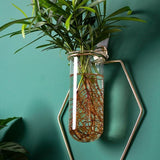 Vase Decoration Wall-mounted Hydroponic Flowerpot Hanging Wall Hanging - My Store
