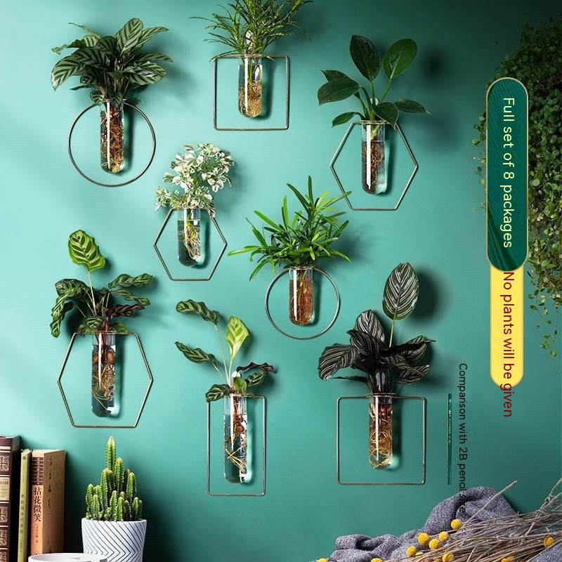 Vase Decoration Wall-mounted Hydroponic Flowerpot Hanging Wall Hanging - My Store