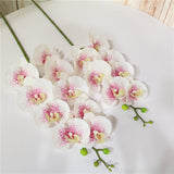 7 phalaenopsis artificial flowers - My Store