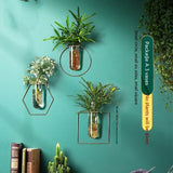 Vase Decoration Wall-mounted Hydroponic Flowerpot Hanging Wall Hanging - My Store