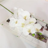 7 phalaenopsis artificial flowers - My Store
