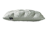 A Pair Of Feather Pillows And White Goose Single Neck Guards - My Store