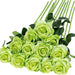 10cm Bloom Green