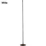 Aluminum Ambient Floor Lamp - My Store