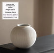 Hydroponic Flower Vases Succulent Plant Pots Decorative Ornaments - My Store