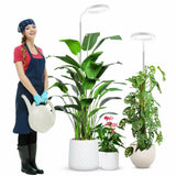 Indoor Plant Floor Growing Lamp Full Spectrum Plant Lamp - My Store