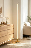 Aluminum Ambient Floor Lamp - My Store