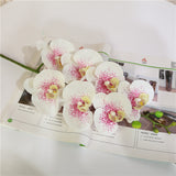 7 phalaenopsis artificial flowers - My Store