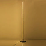 Aluminum Ambient Floor Lamp - My Store