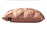A Pair Of Feather Pillows And White Goose Single Neck Guards - My Store