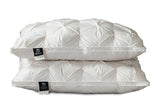 A Pair Of Feather Pillows And White Goose Single Neck Guards - My Store