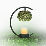Wrought-iron Aromatherapy Wax Melter Scented Oil Candle Warmer Bedroom Ambiance Table Lamp - My Store