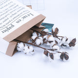 10 Natural Cotton Branch Artificial Flowers - My Store