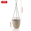 Hanging Wall Hanging Flower Pot Chlorophytum Comosum - My Store