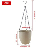 Hanging Wall Hanging Flower Pot Chlorophytum Comosum - My Store