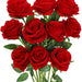 10cm Bloom Red