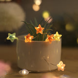 Pentagram Floret Three Gear Adjustment LED Light String - My Store