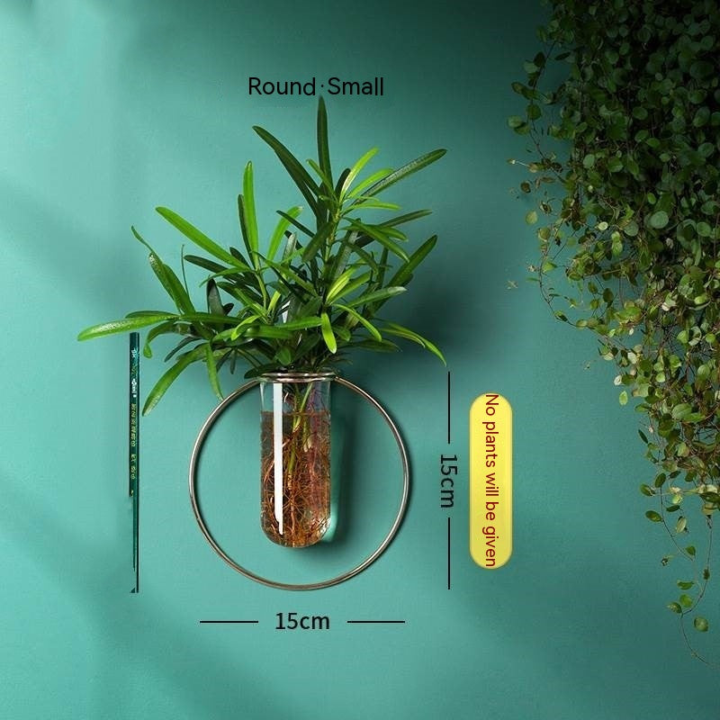 Vase Decoration Wall-mounted Hydroponic Flowerpot Hanging Wall Hanging - My Store