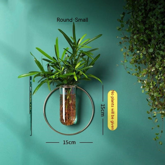 Vase Decoration Wall-mounted Hydroponic Flowerpot Hanging Wall Hanging - My Store