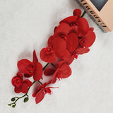 Single Film 9 Phalaenopsis Artificial Flowers - My Store