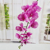 Single Film 9 Phalaenopsis Artificial Flowers - My Store