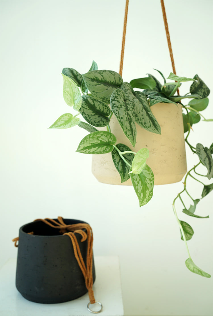 Nordic Wall Hanging Cement Hanging Flower Pot - My Store
